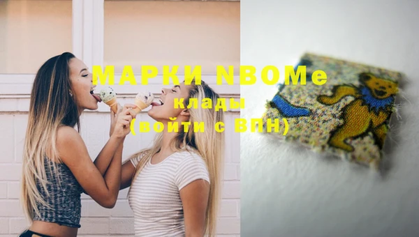 ГАЛЛЮЦИНОГЕННЫЕ ГРИБЫ Вязники