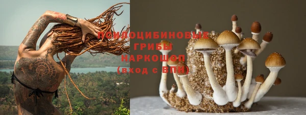 ГАЛЛЮЦИНОГЕННЫЕ ГРИБЫ Вязники