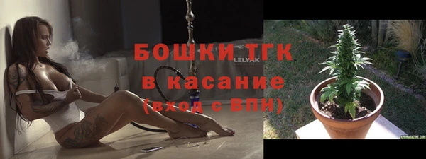 ГАЛЛЮЦИНОГЕННЫЕ ГРИБЫ Вязники
