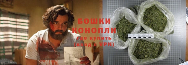 ГАЛЛЮЦИНОГЕННЫЕ ГРИБЫ Вязники