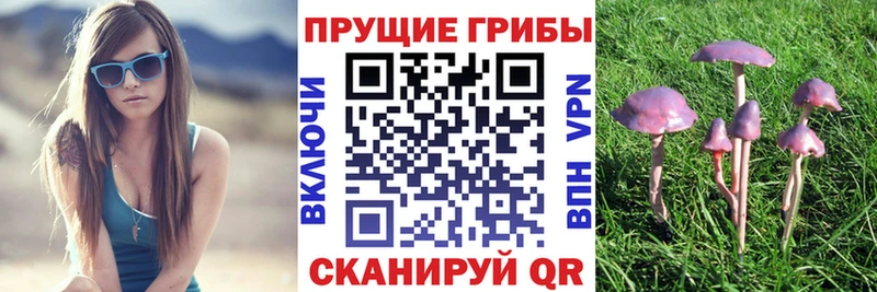 маркетплейс состав  Ишимбай  Псилоцибиновые грибы Psilocybe  ОМГ ОМГ зеркало 