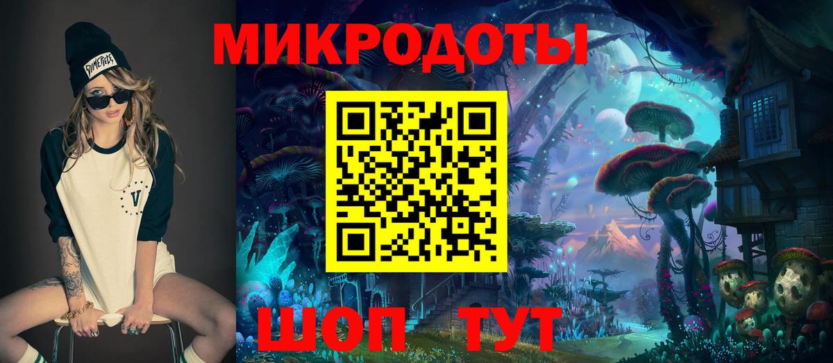 Ишимбай  Псилоцибиновые грибы Psilocybe  Вход с VPN 